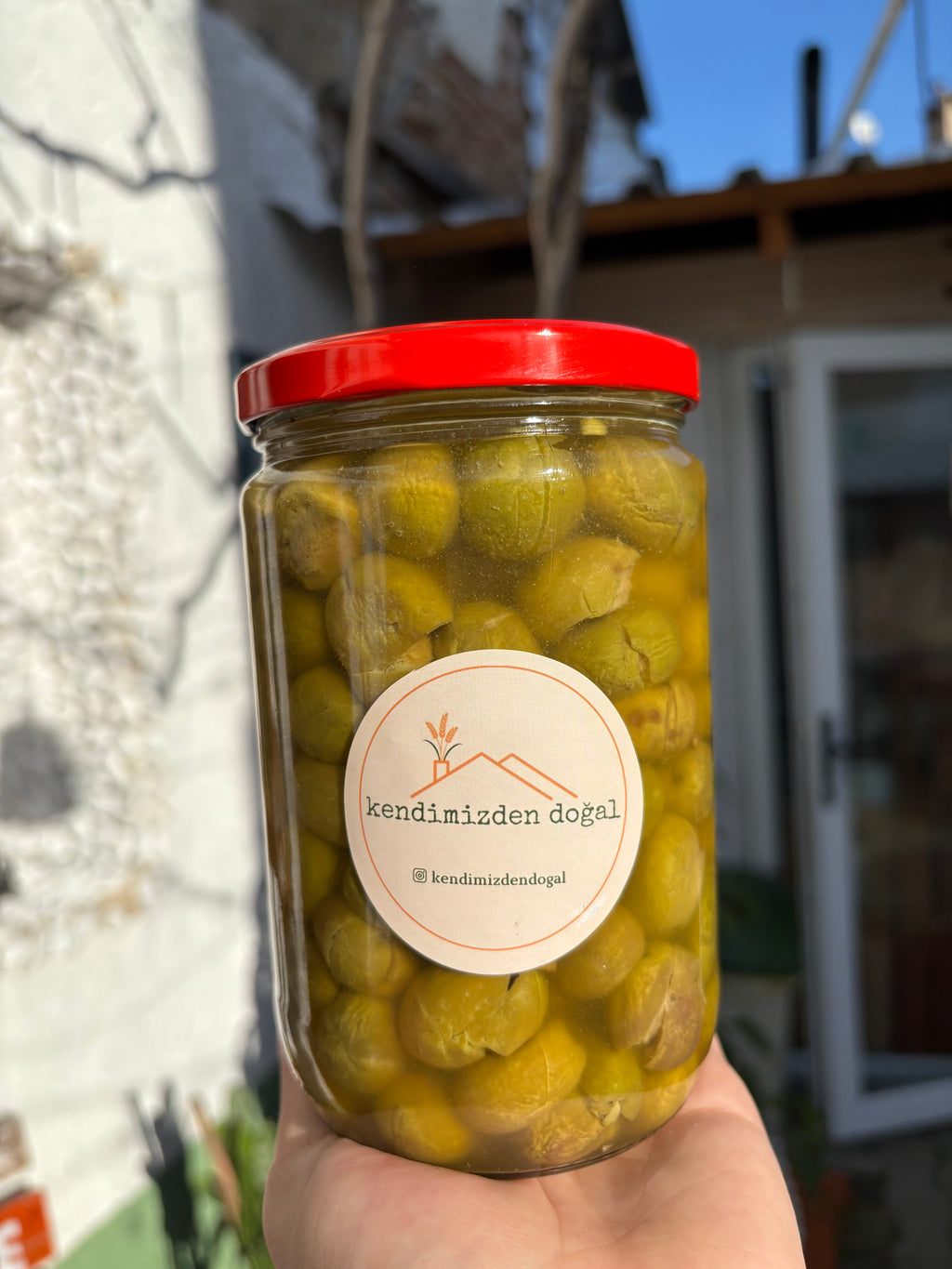 Yeşil Kırma Zeytin