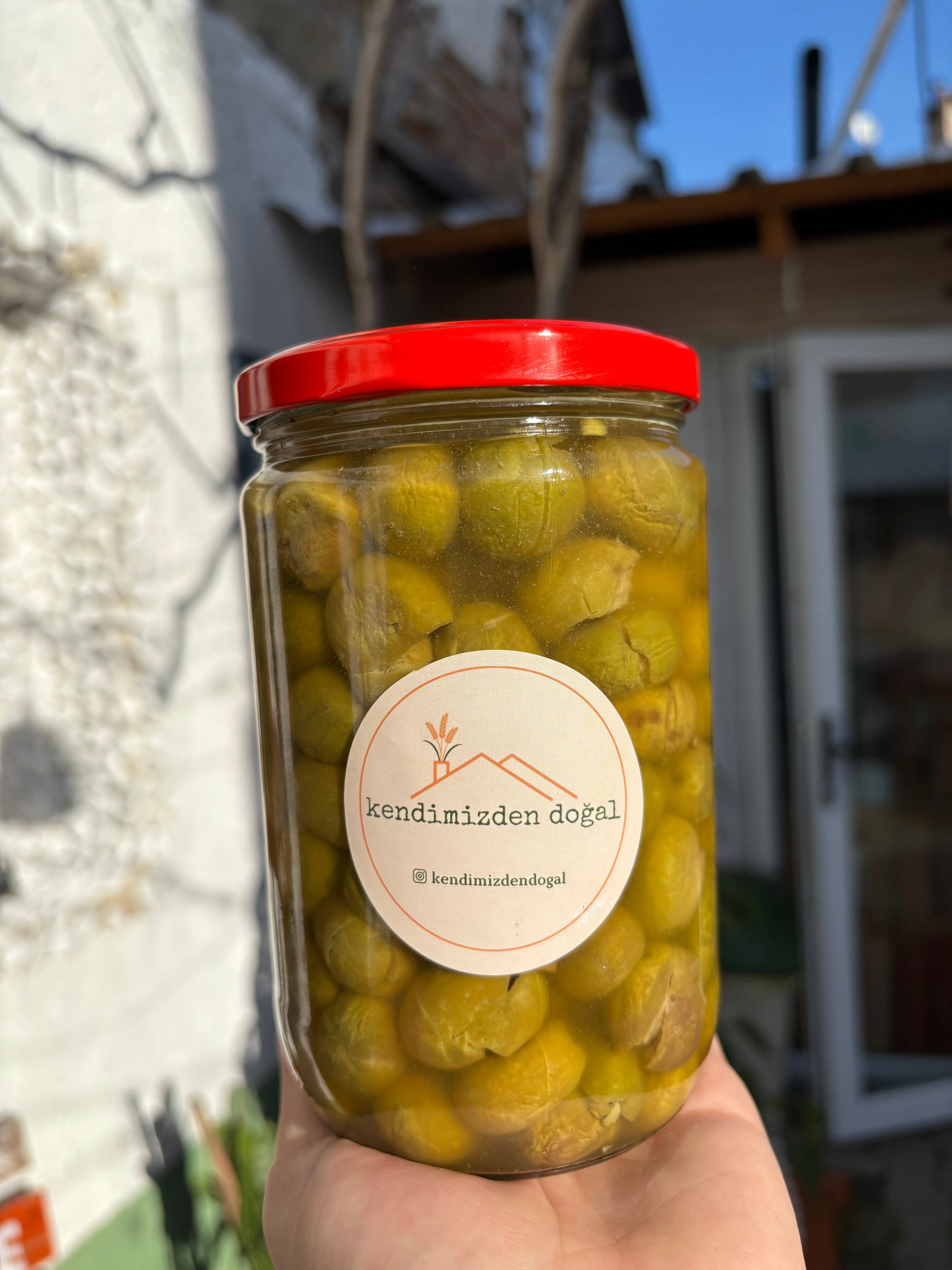 Yeşil Kırma Zeytin