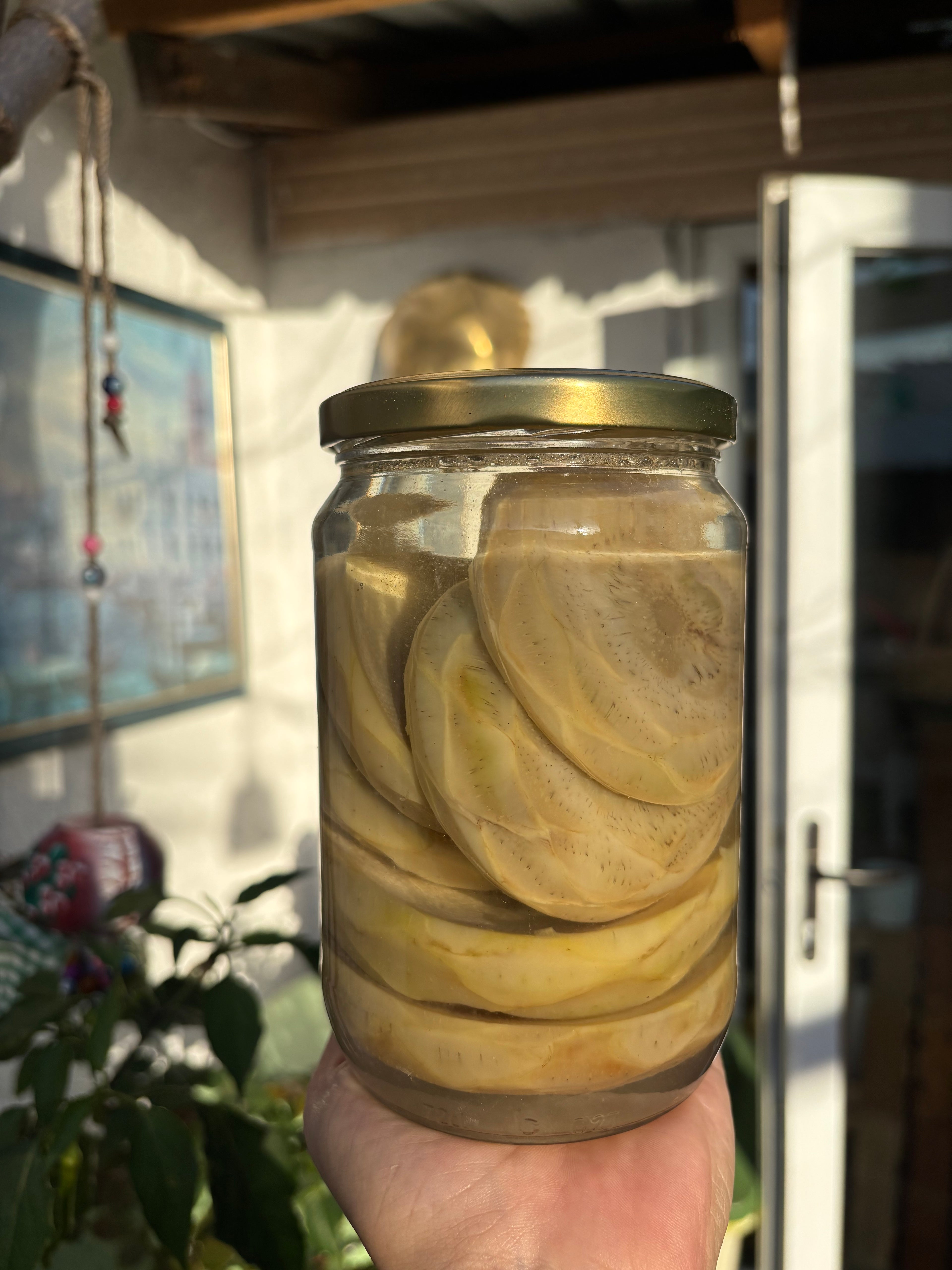 Çanak Enginar Konservesi