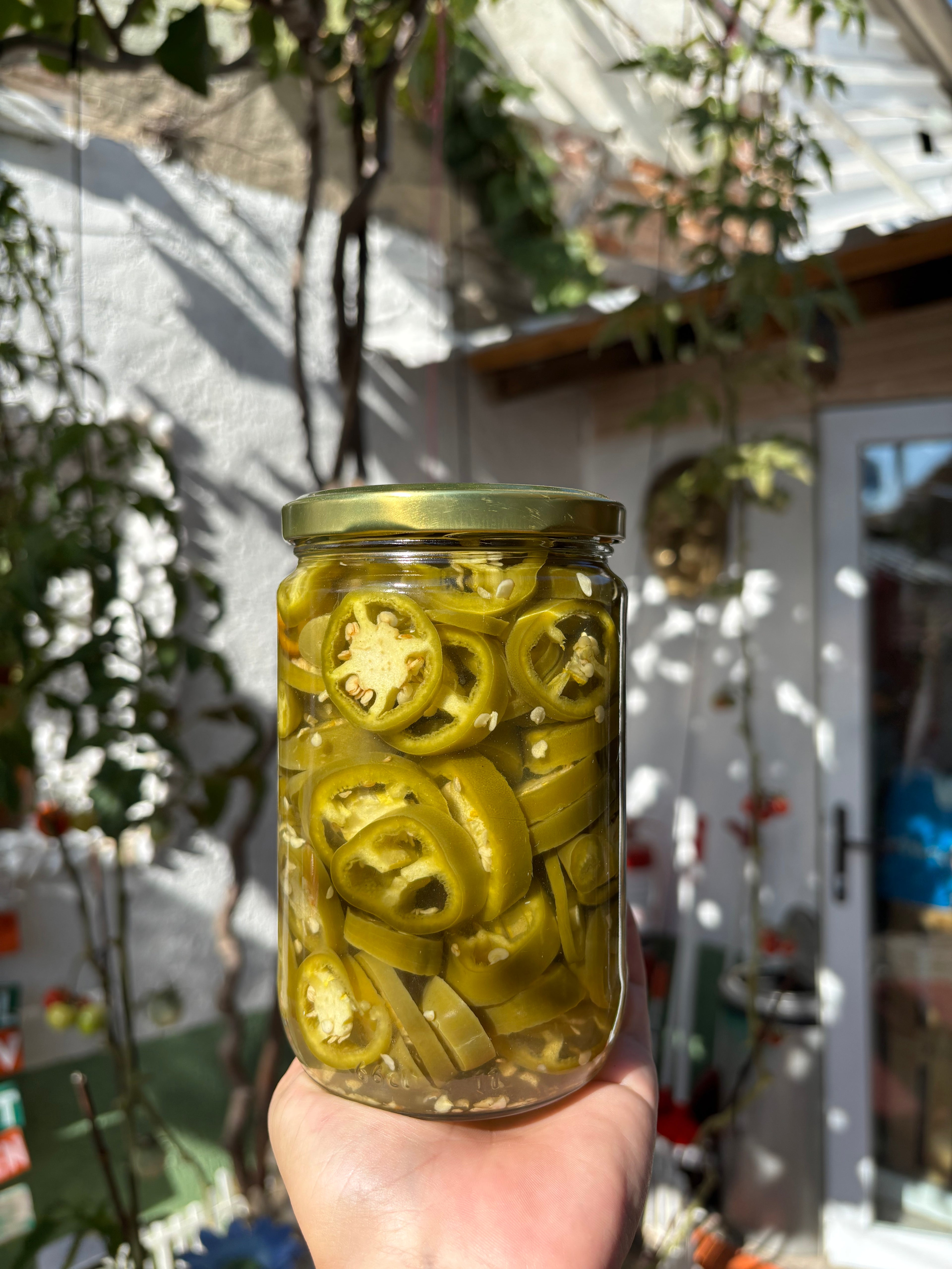 Jalapeno Biber Turşusu