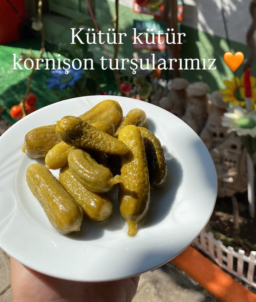 Kornişon Turşusu