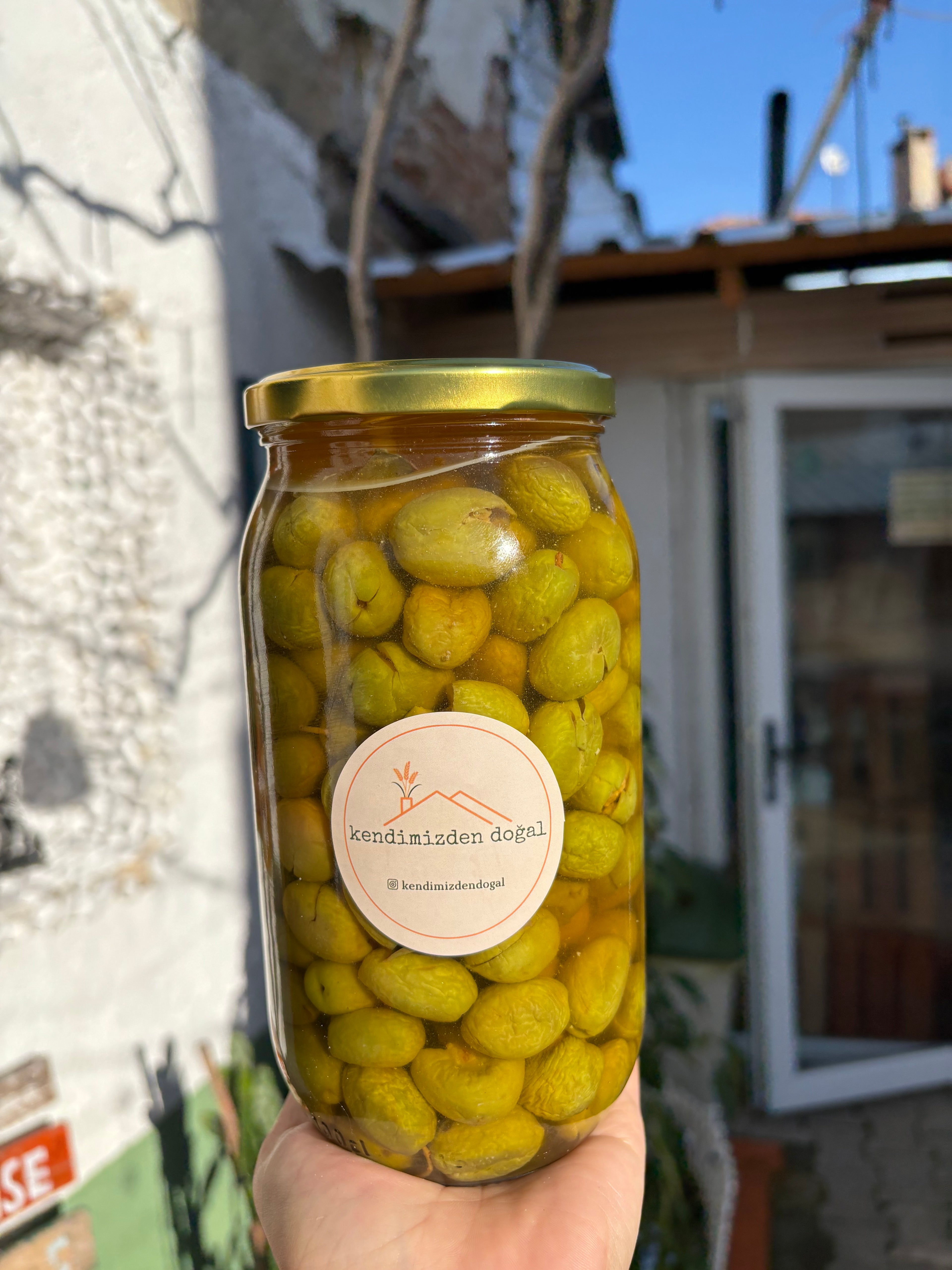 Yeşil Kırma Zeytin