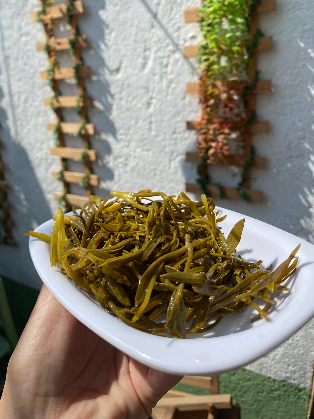 Kaya Koruğu Turşusu